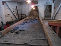 2011 UK England Beamish 0430
